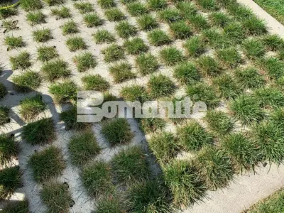 Bomanite Of East Tennessee Inc - Commercial Construction Services in Knoxville, TN