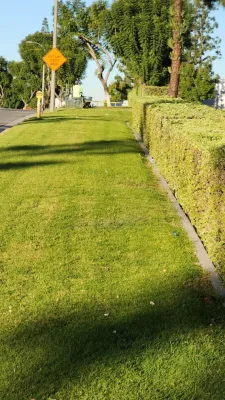 MR Ortiz Landscaping Inc. - Landscape Construction in La Habra, CA