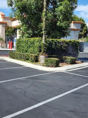 MR Ortiz Landscaping Inc. - Landscape Construction in La Habra, CA