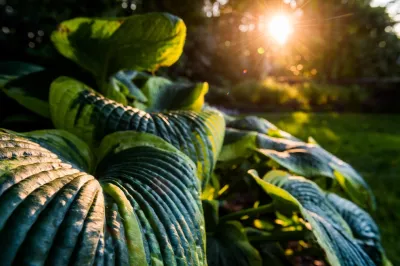 Terren Landscapes - Landscape Design in Wynnewood, PA