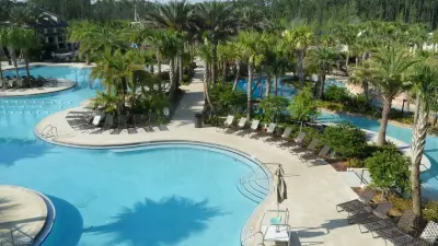 Couch Brick Pavers - Landscape Design in Palm Harbor, FL