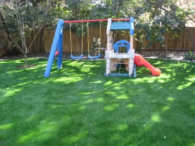Downtown Austin — Landscape Construction project by Texas Custom Turf in Austin