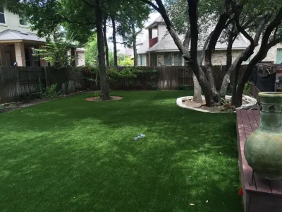 Pine Forest — Landscape Construction project by Texas Custom Turf