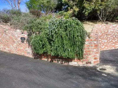 California Concrete Overlay Inc. - Stone & Concrete Installation in Concord, CA