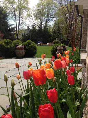 The Garden Concierge, Inc. - Tree & Shrub Care in Sudbury, MA
