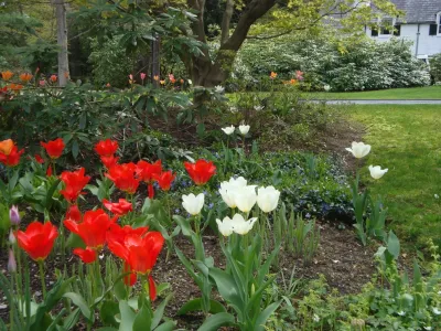 The Garden Concierge, Inc. - Tree & Shrub Care in Sudbury, MA