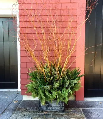 The Garden Concierge, Inc. - Tree & Shrub Care in Sudbury, MA