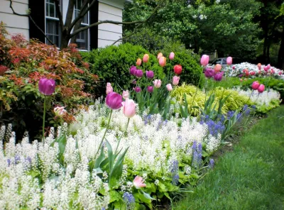 The Garden Concierge, Inc. - Tree & Shrub Care in Sudbury, MA