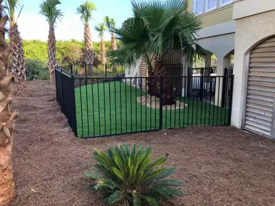 Canine Paradise by NeSmith Landscapes