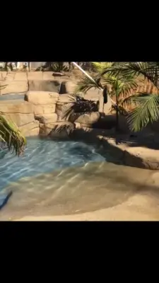 Endless Rockscape - Stone & Concrete Installation in Fontana, CA