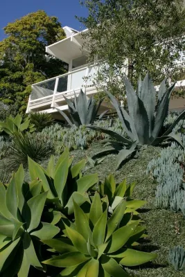 The Garden Path - Landscape Maintenance in El Segundo, CA