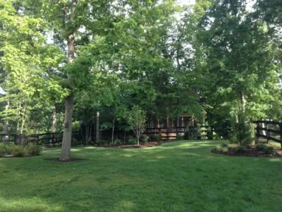 The Great Outdoors, LLC. - Tree Planting & Transplanting in Charlottesville, VA