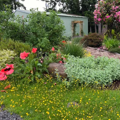 The Green Seed - Tree Planting & Transplanting in Portland, OR
