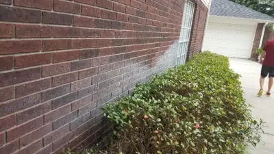 Blooming Stain Elimination — Stone & Concrete Installation project by Brick Restoration