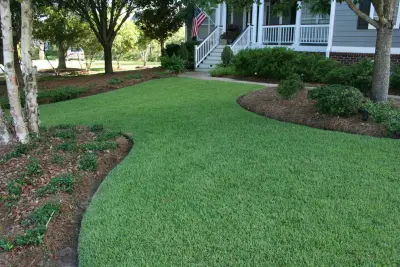Big Earth Landscape Supply - Landscape Design in Tampa, FL