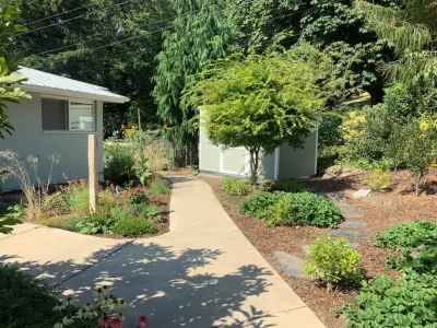 The Green Seed - Tree Planting & Transplanting in Portland, OR