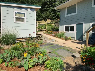 The Green Seed - Tree Planting & Transplanting in Portland, OR
