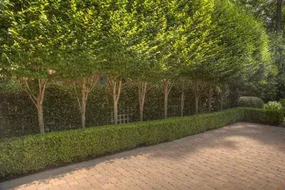 The GreenSeason Group, Inc. - Lawn Aeration in Norcross, GA