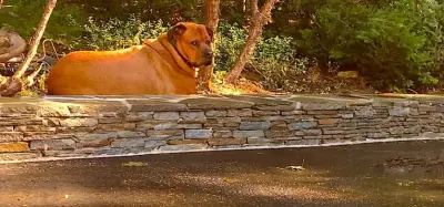 Rockstar Stoneworks LLC - Countertop Installation Services in Portland, ME