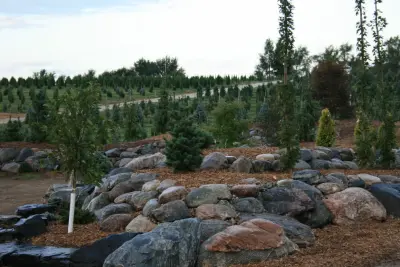 Duro Rock Supply Co. - Landscape Design in Redwood Falls, MN