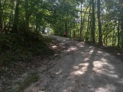 Halley Pathway — Stone & Concrete Installation project by Oswald Concrete Services And Landscaping, LLP