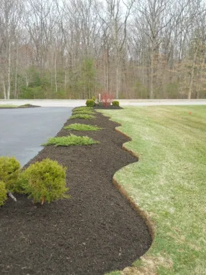 The Lawn King - Lawn Care & Mowing in Northfolk, MA