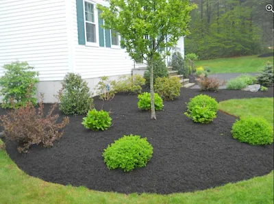 The Lawn King - Lawn Care & Mowing in Northfolk, MA