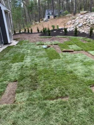 The Lawn King - Lawn Care & Mowing in Northfolk, MA