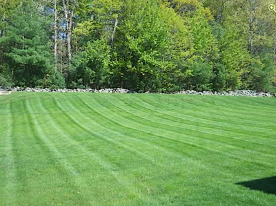 The Lawn King - Lawn Care & Mowing in Northfolk, MA
