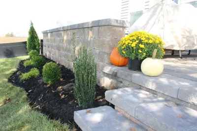 C Vargas Construction LLC - Deck Building & Repair in Seaford, DE