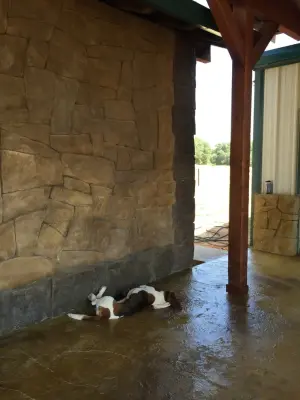Abilene Decorative Concrete Werks, Inc. - Commercial Construction Services in Clyde, TX