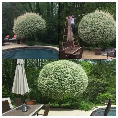 Landscape Projects Then and Now — Stone & Concrete Installation project by Advanced Grounds Maintenance, LLC