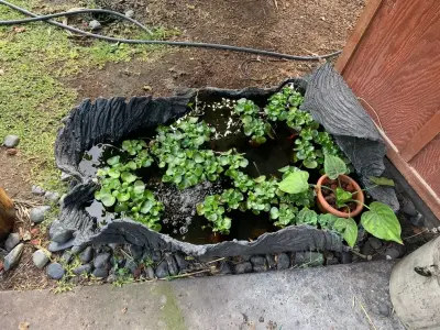 Island Stone Creations LLC - Stone & Concrete Installation in Kailuakona, HI