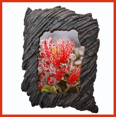 Island Stone Creations LLC - Stone & Concrete Installation in Kailuakona, HI