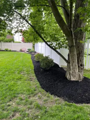 Lucca Landscaping & Construction - Tree & Shrub Care in Thompson, OH