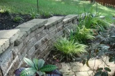 Highmark Turf - Landscape Design in Mount Juliet, TN