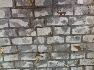 Paths and Pavements — Stone & Concrete Installation project by Sudlow Concrete