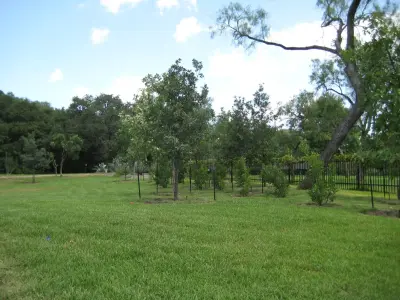 Marula Landscape & Design - Custom Home Builders in San Antonio, TX