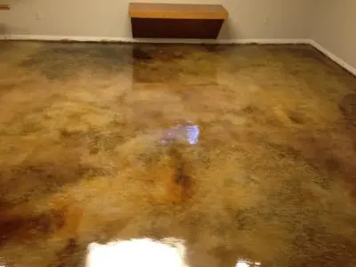 Concrete Gone Wild - Tile & Stone Installation Services in Cedar Rapids, IA
