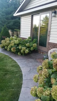 Border Magic - Stone & Concrete Installation in Rantoul, IL