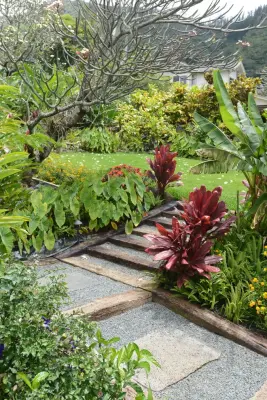 Top Shape Masonry, LLC - Commercial Construction Services in Kapolei, HI