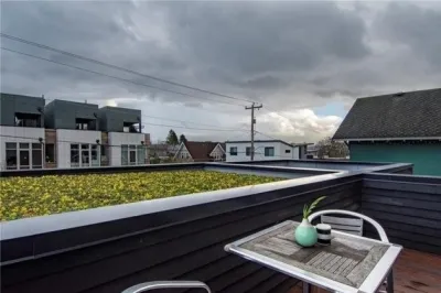 Green Is The New Black — Landscape Construction project by The Peoples Gardening Collective in Seattle