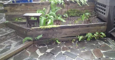 Garden Rebuild — Landscape Construction project by The Peoples Gardening Collective in Seattle
