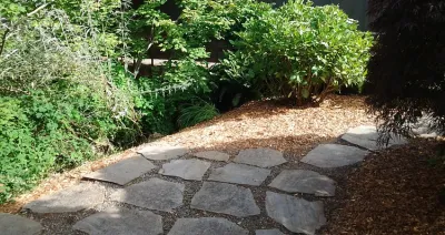 Yard Clean Up — Landscape Construction project by The Peoples Gardening Collective in Seattle