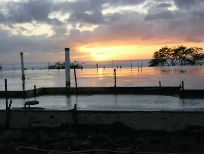 Hawaii Masonry & Development Corporation - Stone & Concrete Installation in Kailuakona, HI