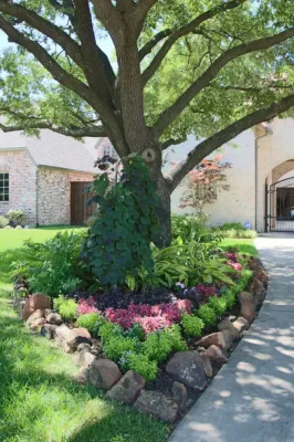 Front Landcape Designs — Landscape Construction project by The Plant Concierge in Dallas