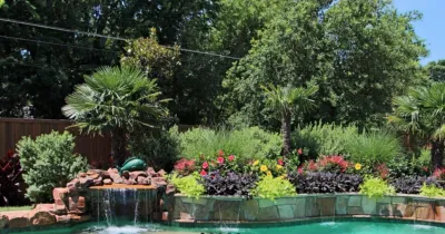 Pool Landscaping — Landscape Construction project by The Plant Concierge in Dallas