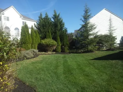 Native Sun Landscaping - Seasonal Yard Cleaning in Rockville, MD