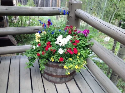 Thetford Landscaping & Irrigation - Drought-Resistant Lawn Installation in Breckenridge, CO