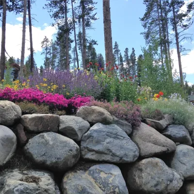 Thetford Landscaping & Irrigation - Drought-Resistant Lawn Installation in Breckenridge, CO